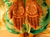 Amel henna palms