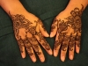 Amelia henna hands